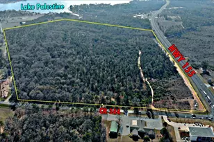 20175 S Hwy 155 Lot C1, Flint, TX 75762 - Photo 5