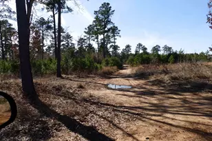 20175 S Hwy 155 Lot C1, Flint, TX 75762 - Photo 31