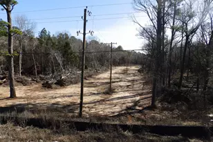 20175 S Hwy 155 Lot M, Flint, TX 75762 - Photo 15