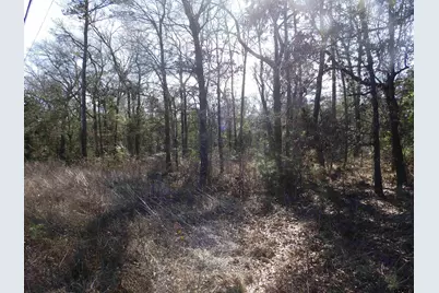 20175 S Hwy 155 Lot M, Flint, TX 75762 - Photo 35