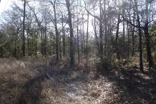 20175 S Hwy 155 Lot M, Flint, TX 75762 - Photo 35