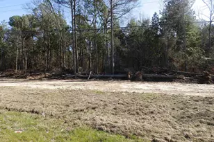 20175 S Hwy 155 Lot M, Flint, TX 75762 - Photo 21