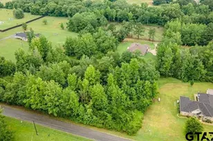 Lot 43 A Cr 3009, Frankston, TX 75763 - Photo 11