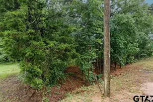 Lot 43 A Cr 3009, Frankston, TX 75763 - Photo 3