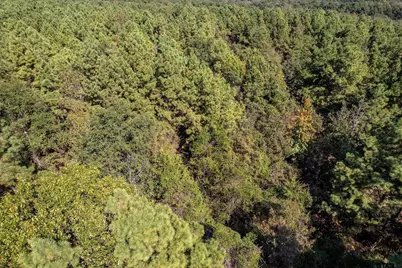 0 Cr 359, Winona, TX 75792 - Photo 5