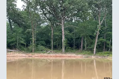 Tract C  337 Private Road 8507, Van, TX 75790 - Photo 7