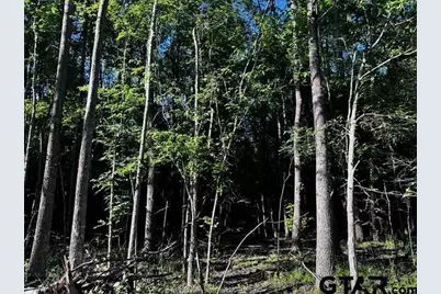 Tract C  337 Private Road 8507, Van, TX 75790 - Photo 15