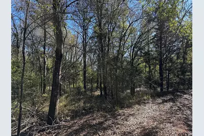 Tract C  337 Private Road 8507, Van, TX 75790 - Photo 9