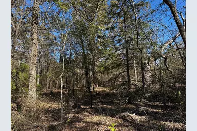 Tract  D  397 Private Road 8507, Van, TX 75790 - Photo 19