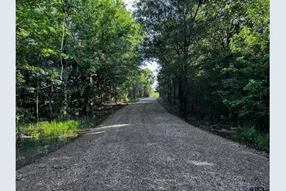 Tract  D  397 Private Road 8507, Van, TX 75790 - Photo 11