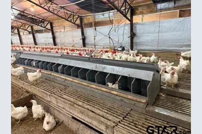 495 County Road 3160, Quitman, TX 75783 - Photo 9