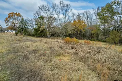 21540 Riva Ridge Dr, Tyler, TX 75704 - Photo 19