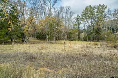 21540 Riva Ridge Dr, Tyler, TX 75704 - Photo 17
