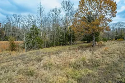 21540 Riva Ridge Dr, Tyler, TX 75704 - Photo 9