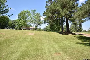 10795 Hwy 135 N, Troup, TX 75789 - Photo 5