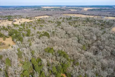 Tbd County Road 4917, Ben Wheeler, TX 75754 - Photo 3