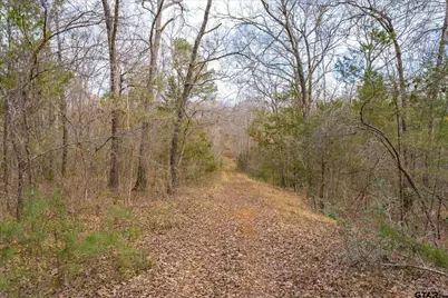 Tbd County Road 4917, Ben Wheeler, TX 75754 - Photo 15