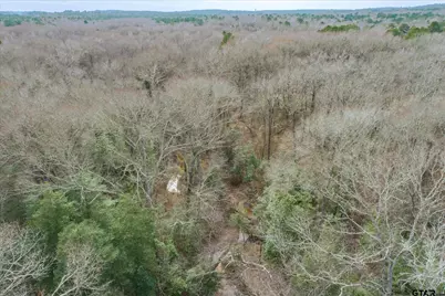 Tbd County Road 4917, Ben Wheeler, TX 75754 - Photo 13
