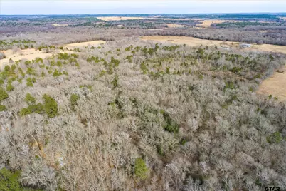 Tbd County Road 4917, Ben Wheeler, TX 75754 - Photo 9
