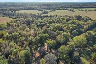 11661 FM852, Gilmer, TX 75644 - Photo 23