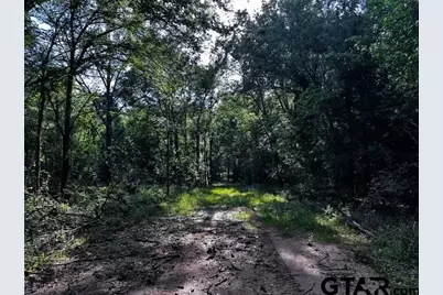 Tract  E/ 437 Tbd/Private Road, Van, TX 75790 - Photo 13