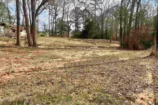 1044 Red Cedar Rd, Big Sandy, TX 75755 - Photo 13