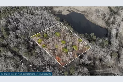 1044 Red Cedar Rd, Big Sandy, TX 75755 - Photo 1