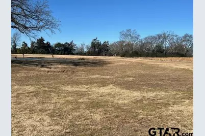 2051 Co Rd 2389, Pickton, TX 75471 - Photo 5