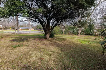 103 S Wildcat Dr, Big Sandy, TX 75755 - Photo 21