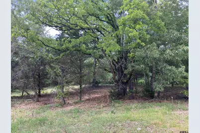 2433 Wellington Trace, Tyler, TX 75709 - Photo 3