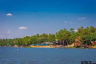520 Dogwood Ln, Hideaway, TX 75771 - Photo 41