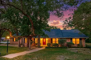 520 Dogwood Ln, Hideaway, TX 75771 - Photo 1