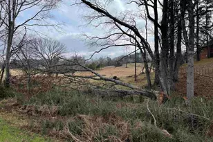 101 County Rd 3504, Bullard, TX 75757 - Photo 9