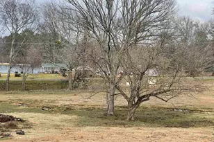 101 County Rd 3504, Bullard, TX 75757 - Photo 19