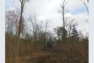 Tbd Fm 852, Gilmer, TX 75644 - Photo 5