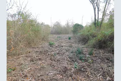 Tbd Fm 852, Gilmer, TX 75644 - Photo 3