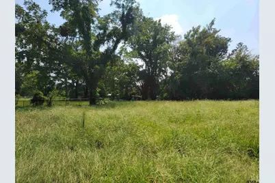 2441 Fm 315, Chandler, TX 75758 - Photo 5