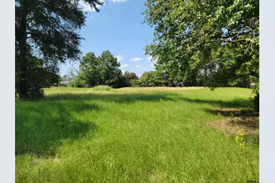 2441 Fm 315, Chandler, TX 75758 - Photo 3