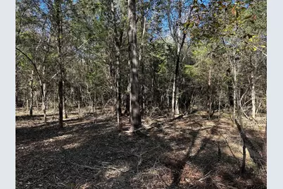 Tract J/ 500 Private Road 8507, Van, TX 75790 - Photo 7