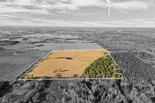 3438 Co Rd 4119, Daingerfield, TX 75638 - Photo 7