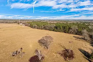 3438 Co Rd 4119, Daingerfield, TX 75638 - Photo 13