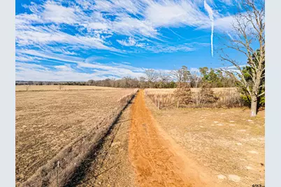 3438 Cr 4119, Daingerfield, TX 75638 - Photo 9