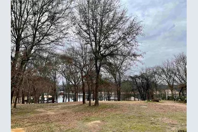 21431 Stevenson Road, Frankston, TX 75763 - Photo 1