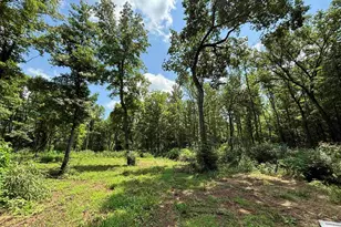 413 S Cr 3101, Jacksonville, TX 75766 - Photo 47