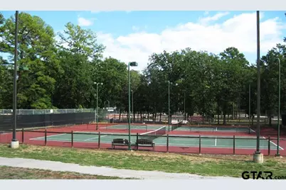 Lots 316 & 317 Brazos Bend, Holly Lake Ranch, TX 75765 - Photo 19