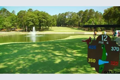 Lots 316 & 317 Brazos Bend, Holly Lake Ranch, TX 75765 - Photo 23