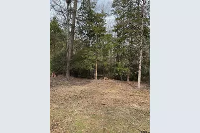 Lots 316 & 317 Brazos Bend, Holly Lake Ranch, TX 75765 - Photo 3