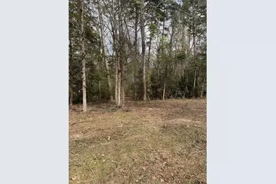 Lots 316 & 317 Brazos Bend, Holly Lake Ranch, TX 75765 - Photo 1