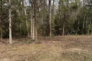 Lots 316 & 317 Brazos Bend, Holly Lake Ranch, TX 75765 - Photo 1