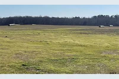 80Ac Lot2 County Road 2376, Winnsboro, TX 75494 - Photo 9